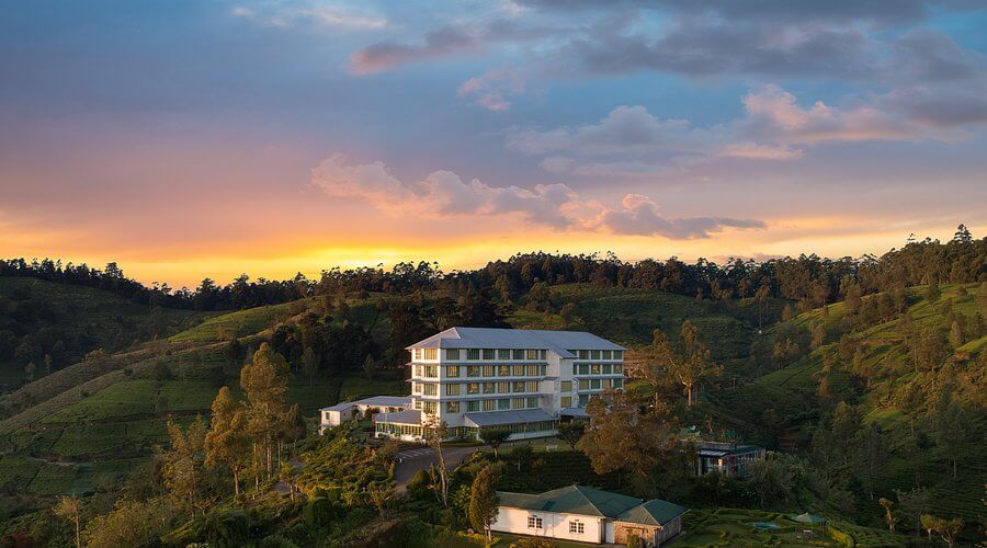 Tea Plantation and Factory Nuwara Eliya