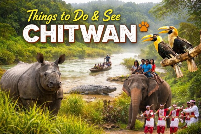 Things to Do & See Chitwan