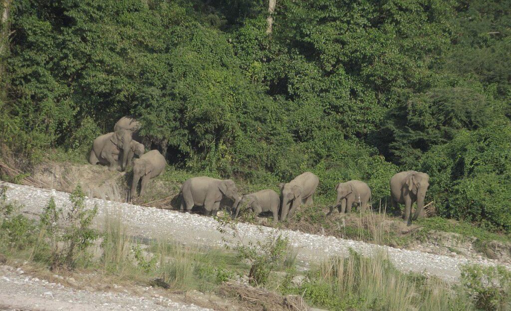 Bumdeling Wildlife Sanctuary
