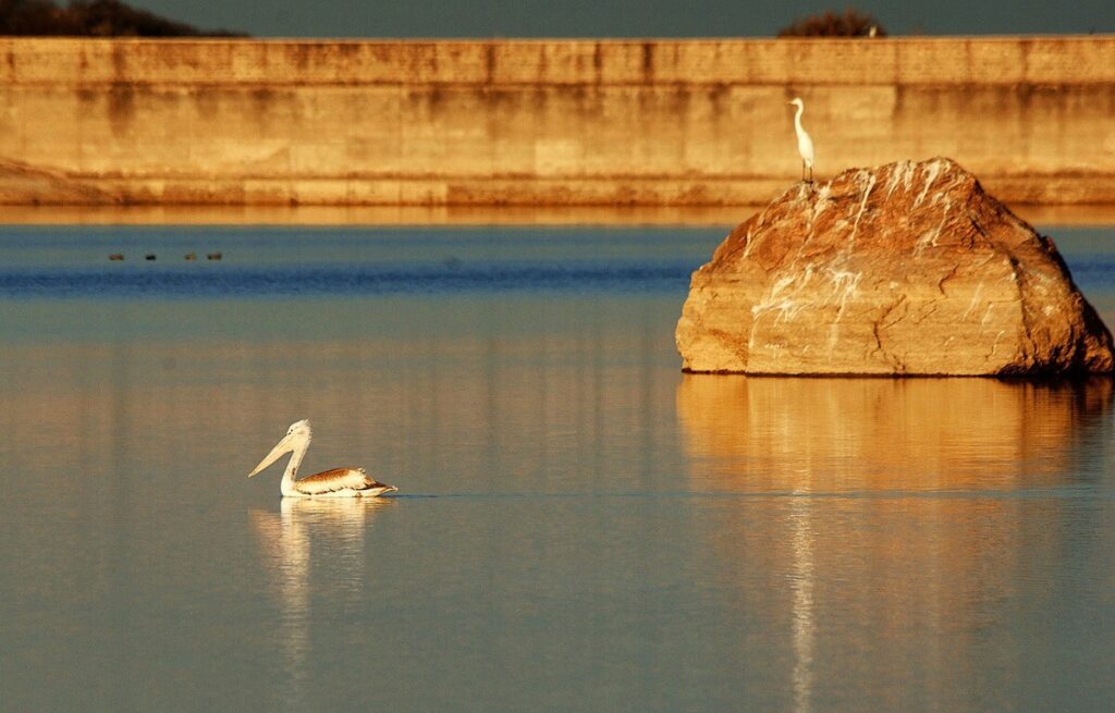 Deogarh Lake Rajasthan