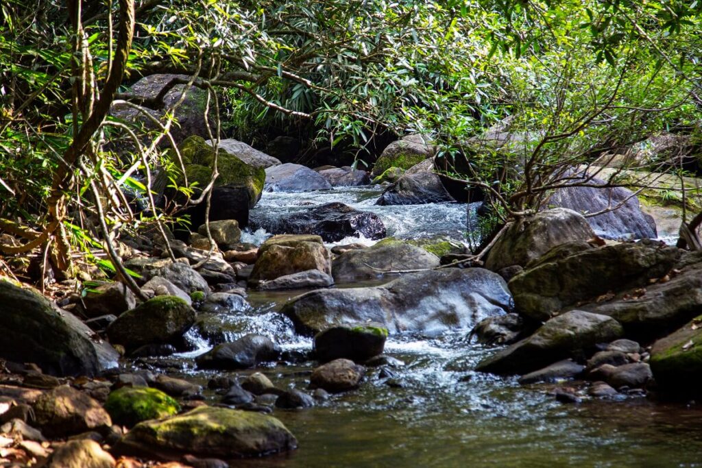 Meenvallam Waterfalls Palakkad