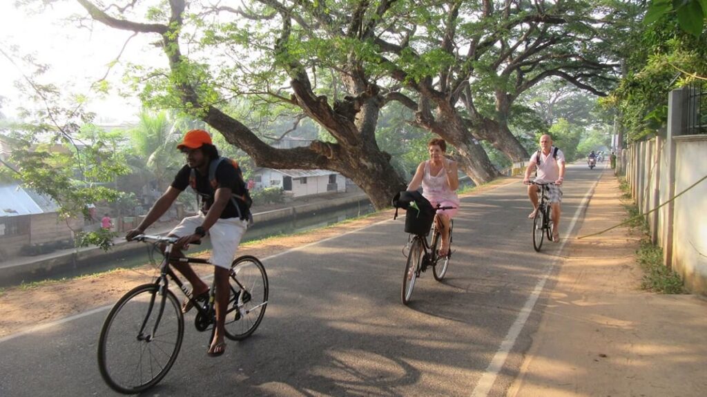Cycle in Negombo's Local