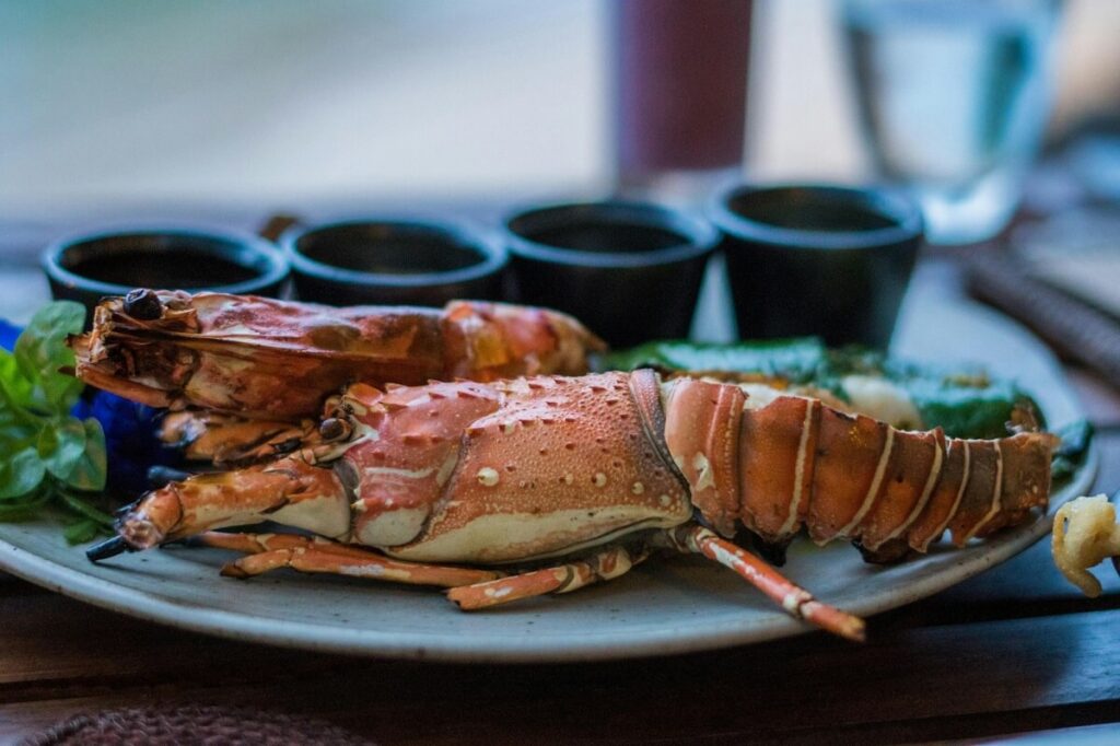 Fresh Seafood at Local Restaurants Negombo
