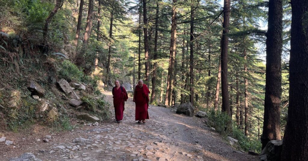 Nature Walk in Dharamkot Dharamshala