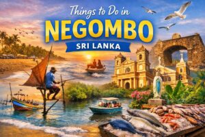 Things to Do in Negombo