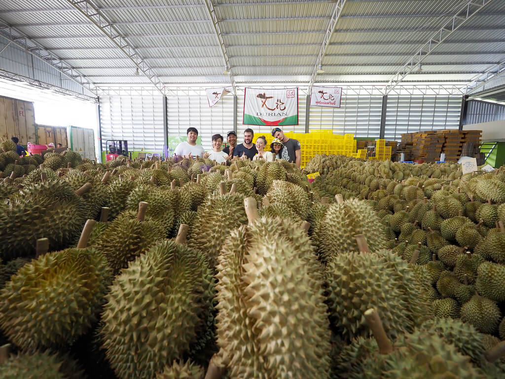 Chanthaburi Local Fruit Orchards