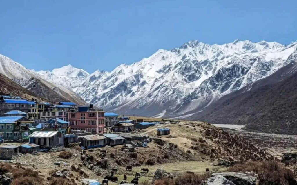 Things to Do in Langtang Valley