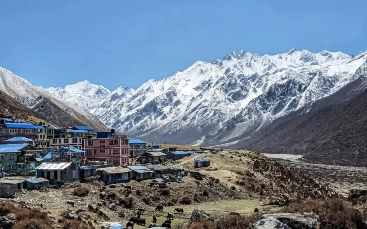 Things to Do in Langtang Valley