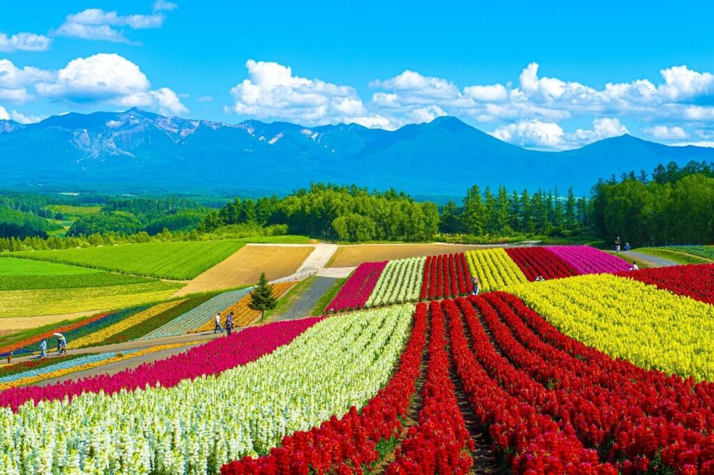 Hokkaido Japan