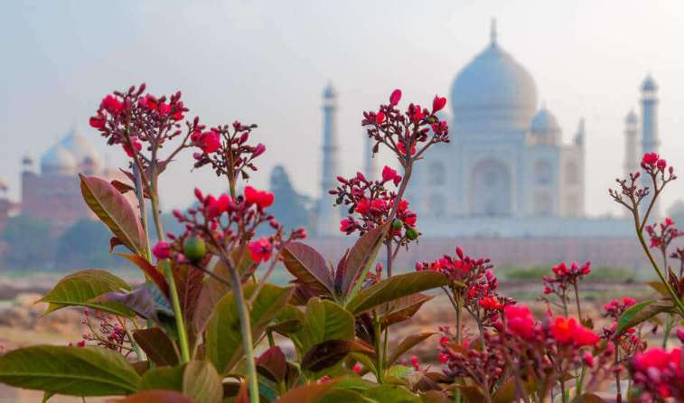 Same Day Agra Taj Mahal Tour by Train