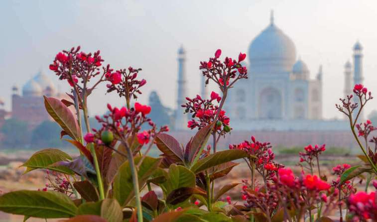 same day agra tajmahal tour by train