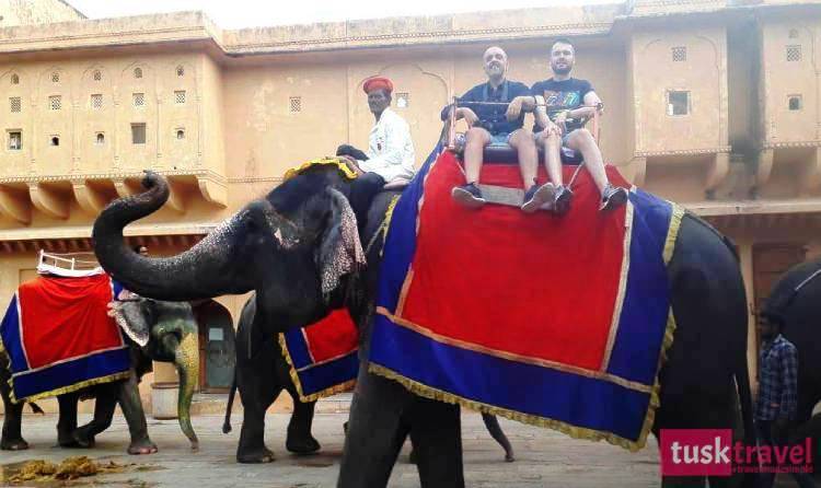 jaipur elephant safari amber fort