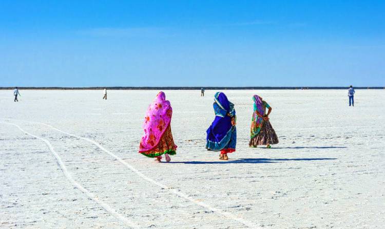 Gujarat Rann of Kutch Tour