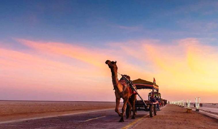 Rann of Kutch Gujarat Tour