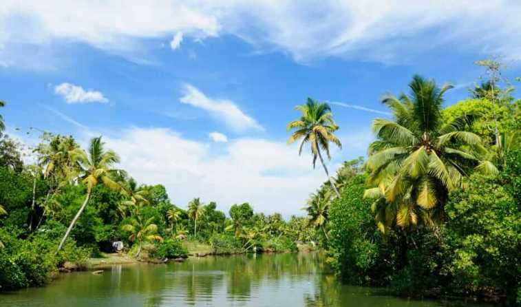 kerala alleppey tour