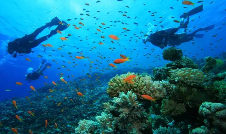 Lakshadweep serene landscape and breathtaking views