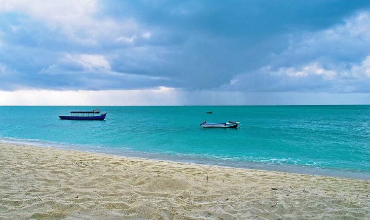 Lakshadweep coral reefs and underwater diversity