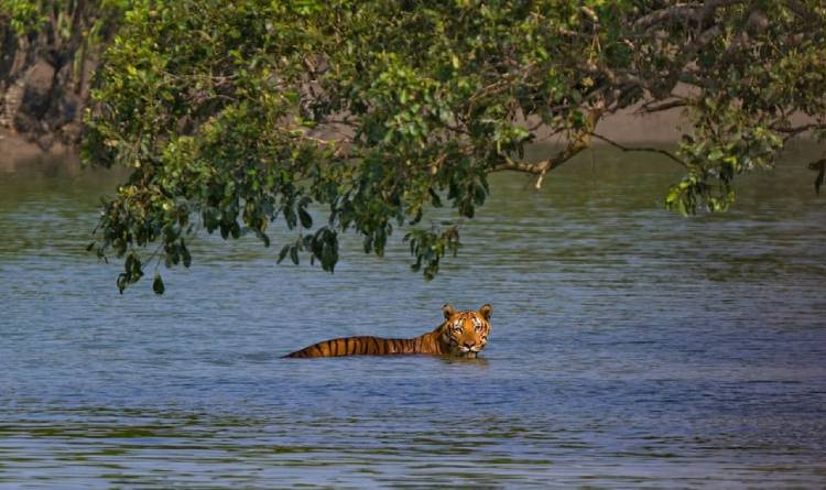 3 Days Sundarban Trip