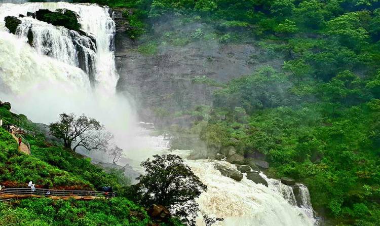 bangalore mysore coorg wayanad tour packages