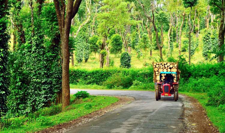 coorg tour