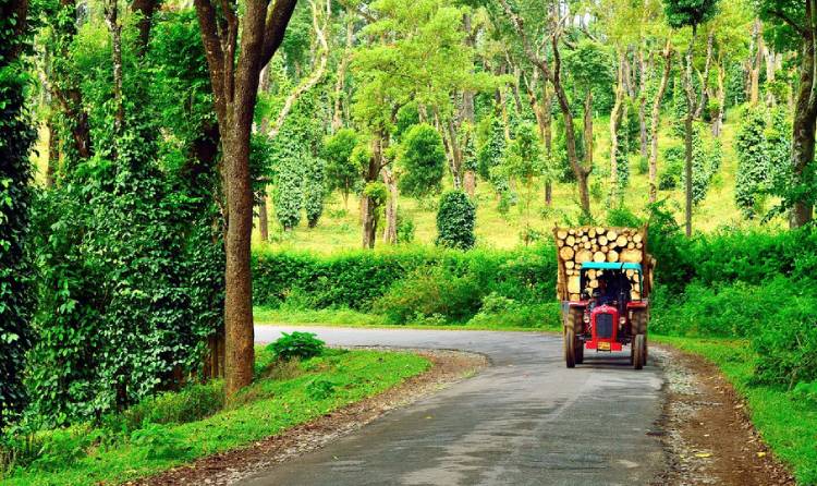 coorg tour