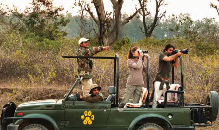 jeep safari in jim corbett