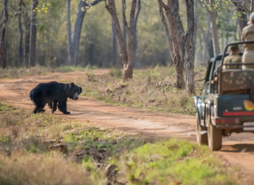 Satpura National Park Walking & Canoe Safari