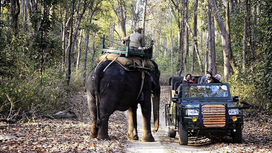 Kanha National Park