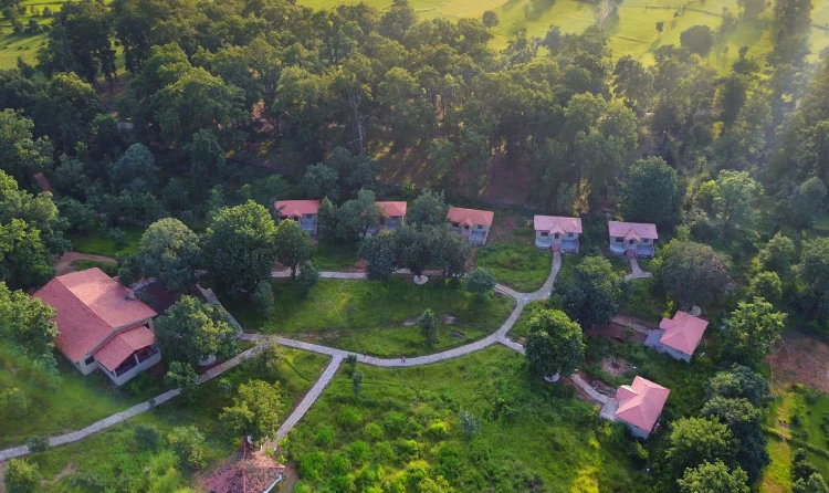 Wildlife Trip with Tusk Travel