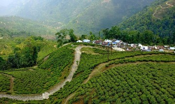 4 Nights 5 Days Darjeeling Tour Itinerary 