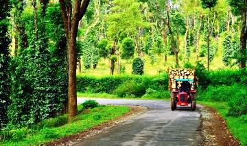 4 Days - Mysore and Coorg Tour