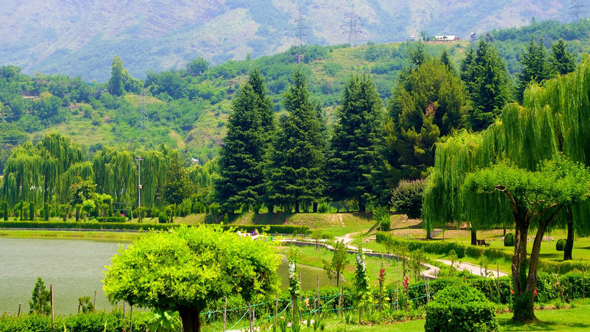 Botanical Garden Srinagar with landscaped lawns, flowers and Zabarwan mountain views