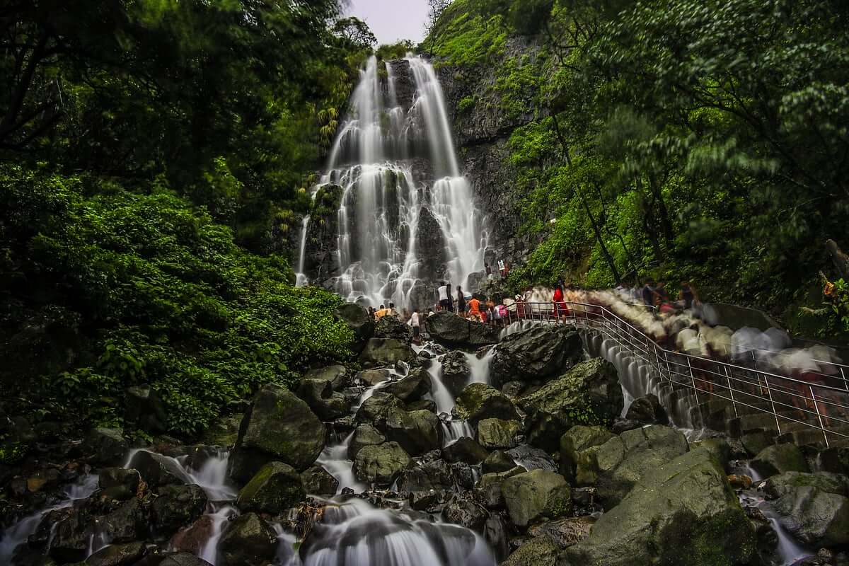 6 Days Amboli Macro Photography Tour photo 2