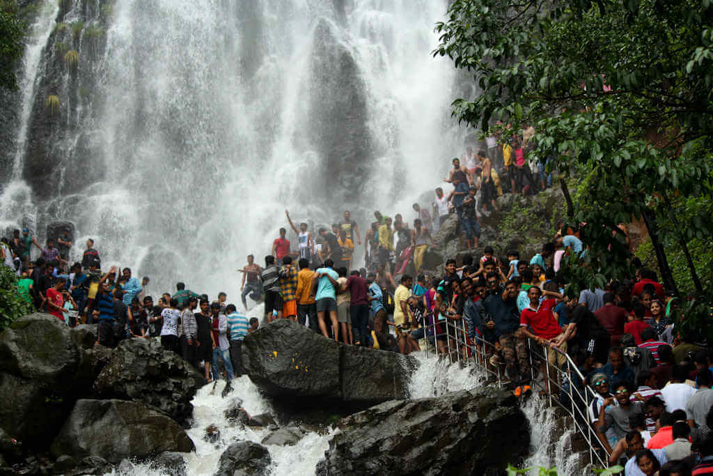6 Days Amboli Macro Photography Tour photo 3