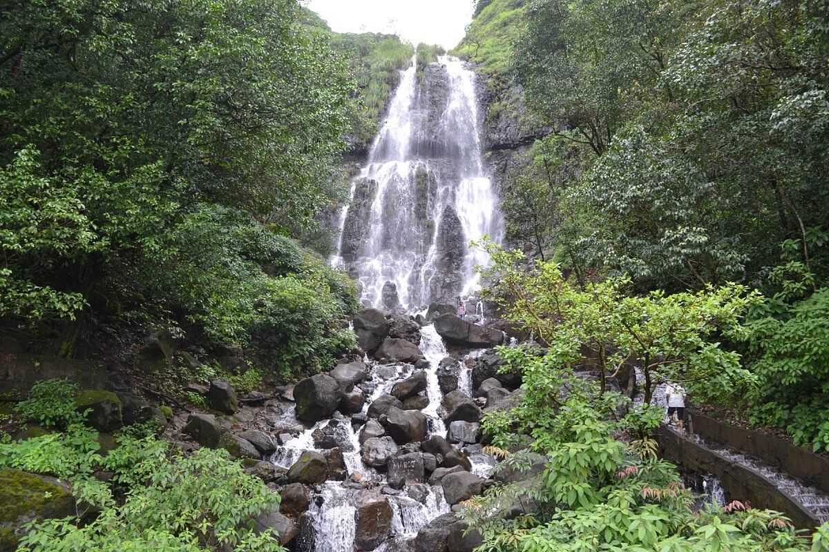 6 Days Amboli Macro Photography Tour photo 4