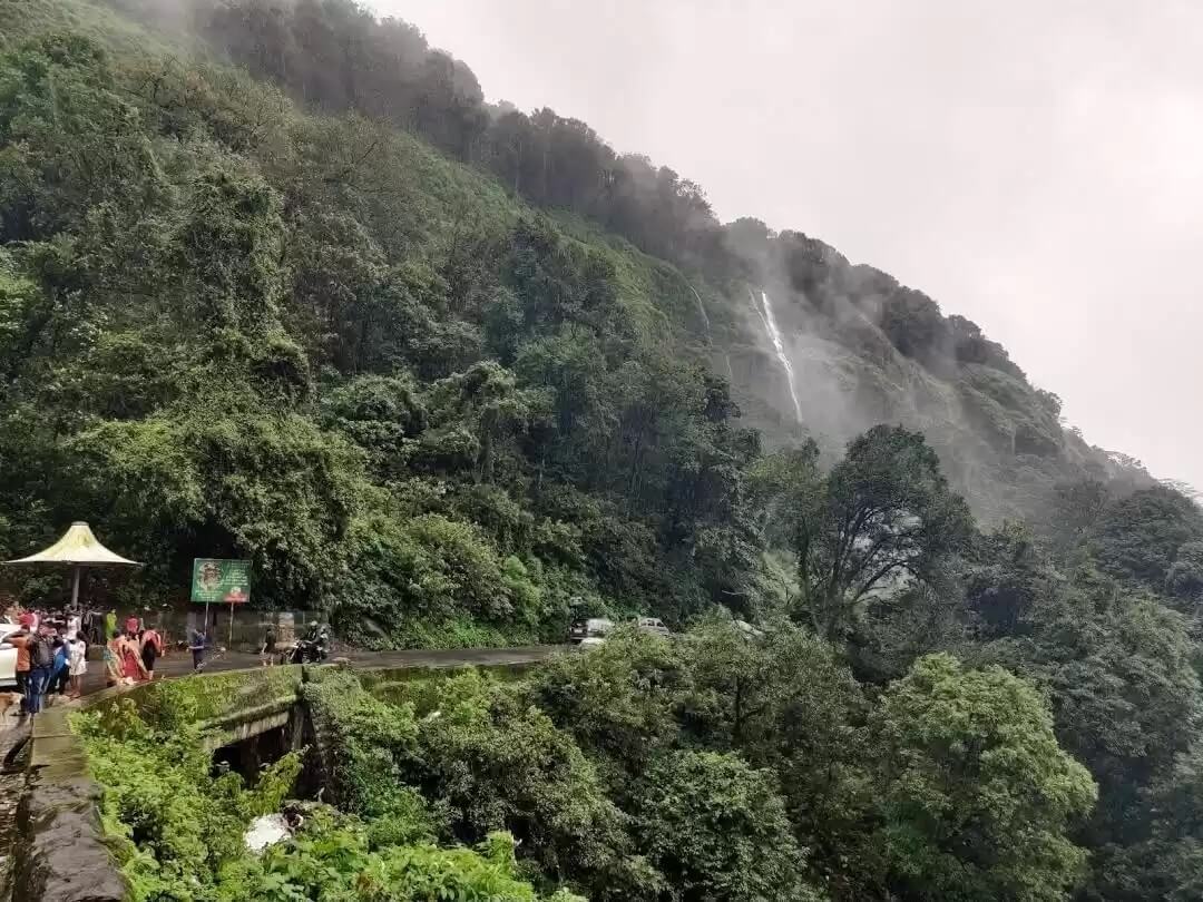 6 Days Amboli Macro Photography Tour photo 5