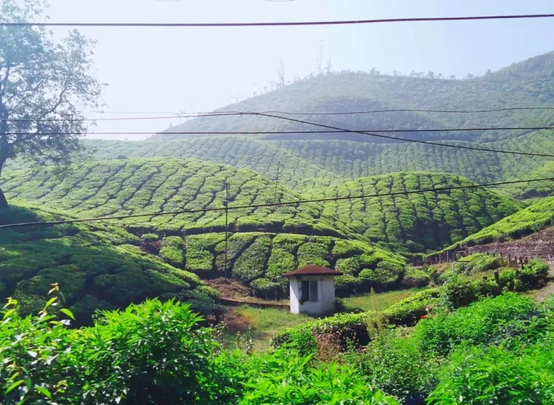 8 Days Assam & Arunachal Tour photo 4