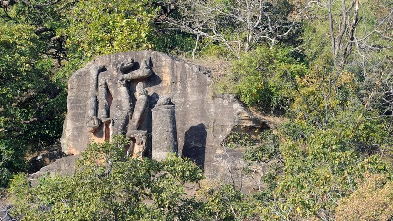 Bandhavgarh Additional Safari Day