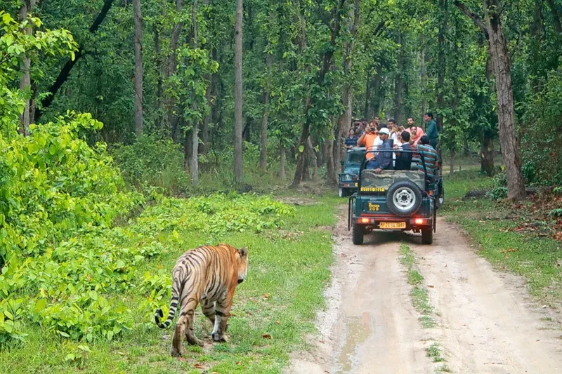 3 Days Bandipur National Park Tour Package photo 2