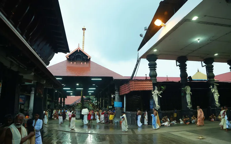 5 Days Thrissur, Athirappilly and Guruvayur Tour photo 4