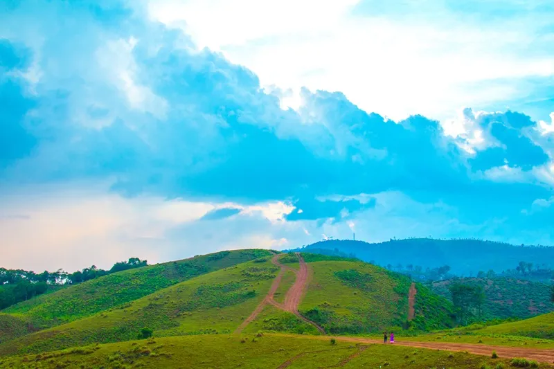 5 Days Idukki, Thekkady and Vagamon Nature Tour photo 5