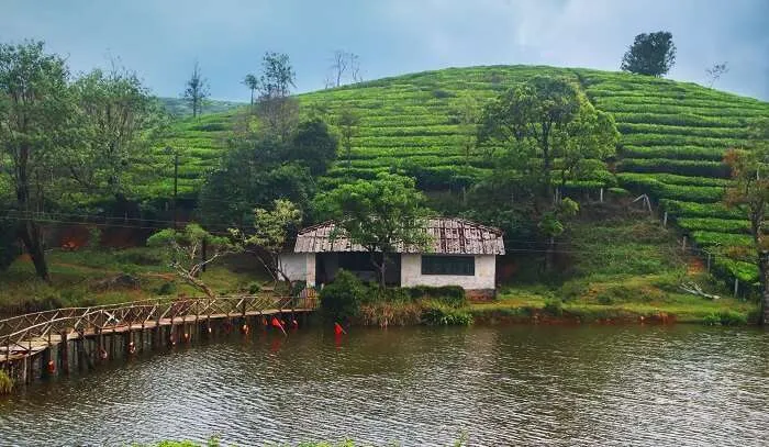 6 Days Kozhikode, Thalassery and Kannur Heritage Tour photo 5