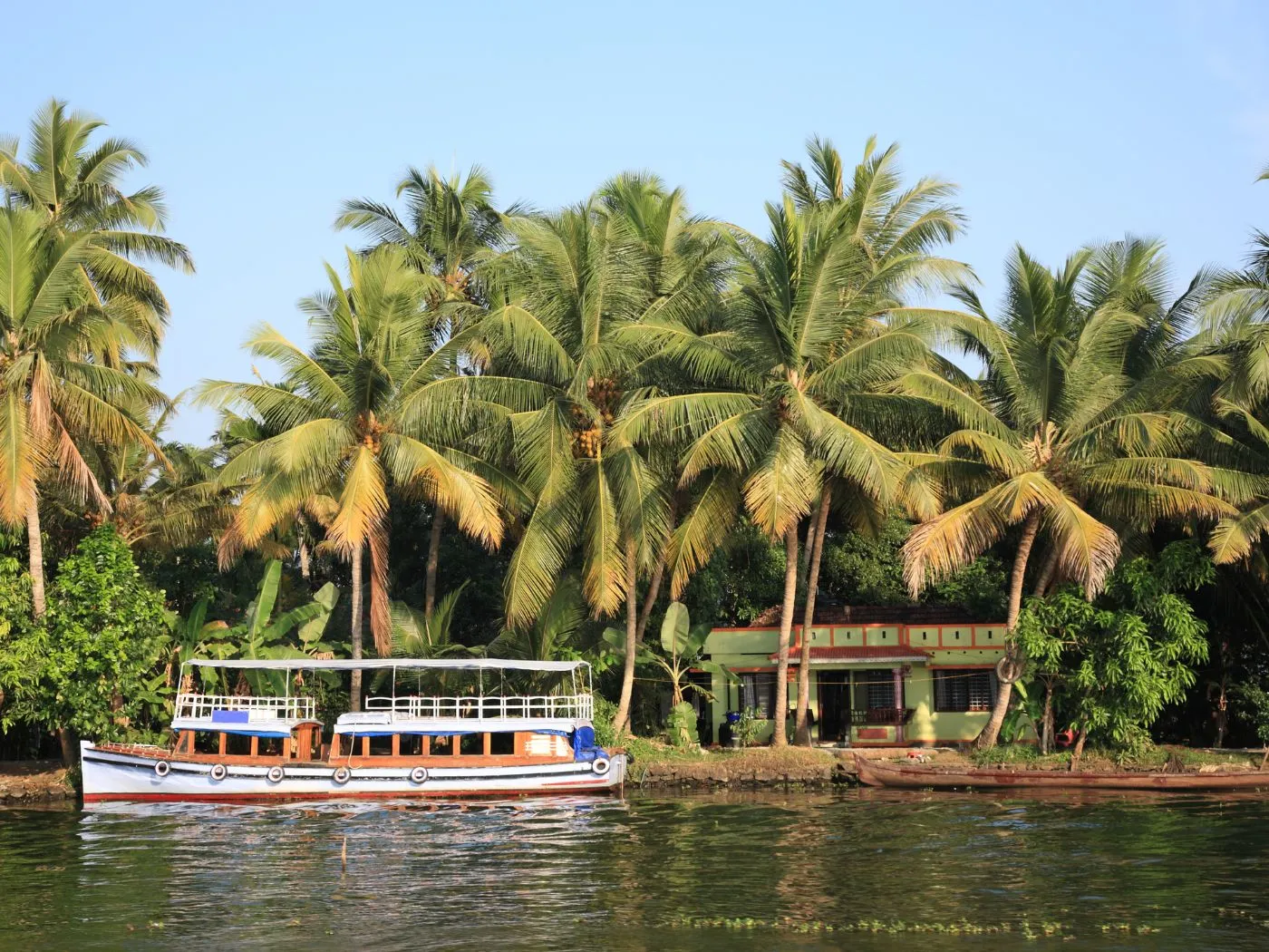 Kumarakom Bird Sanctuary and Kochi departure
