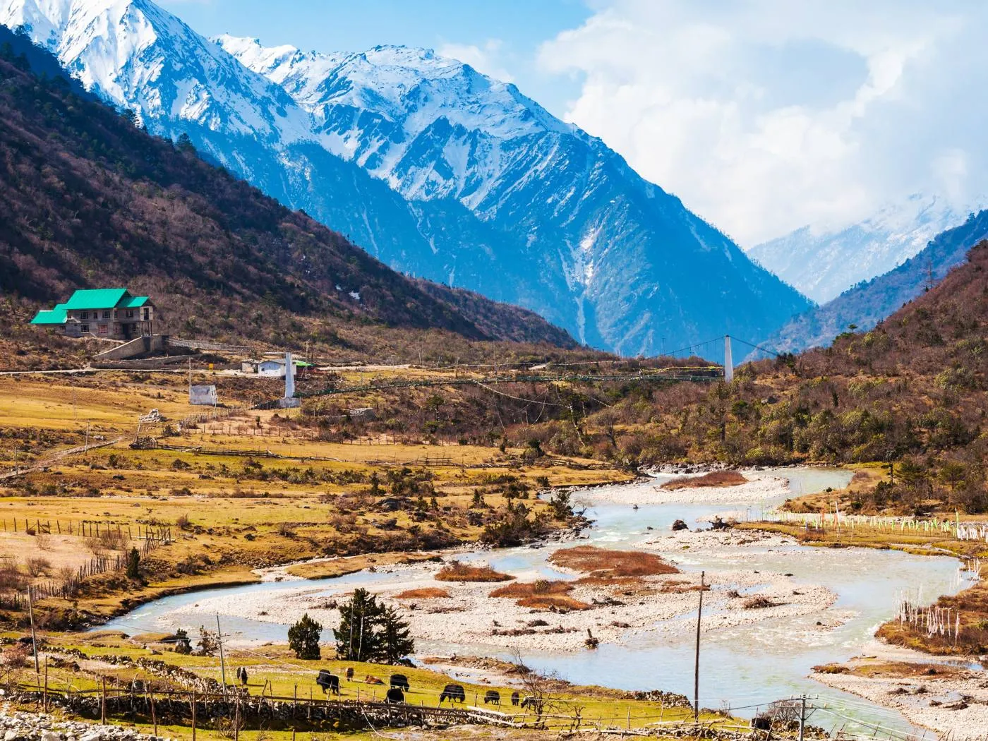 5 Days North Sikkim: Lachen, Lachung & Yumthang Tour photo 5