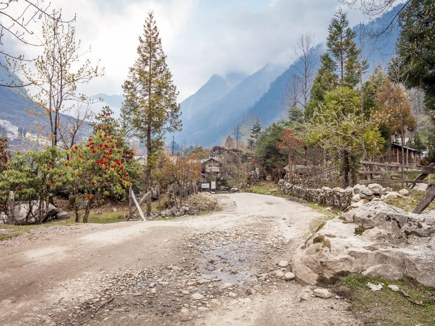 7 Days Lachung Dzongu and Gangtok Tour in Sikkim