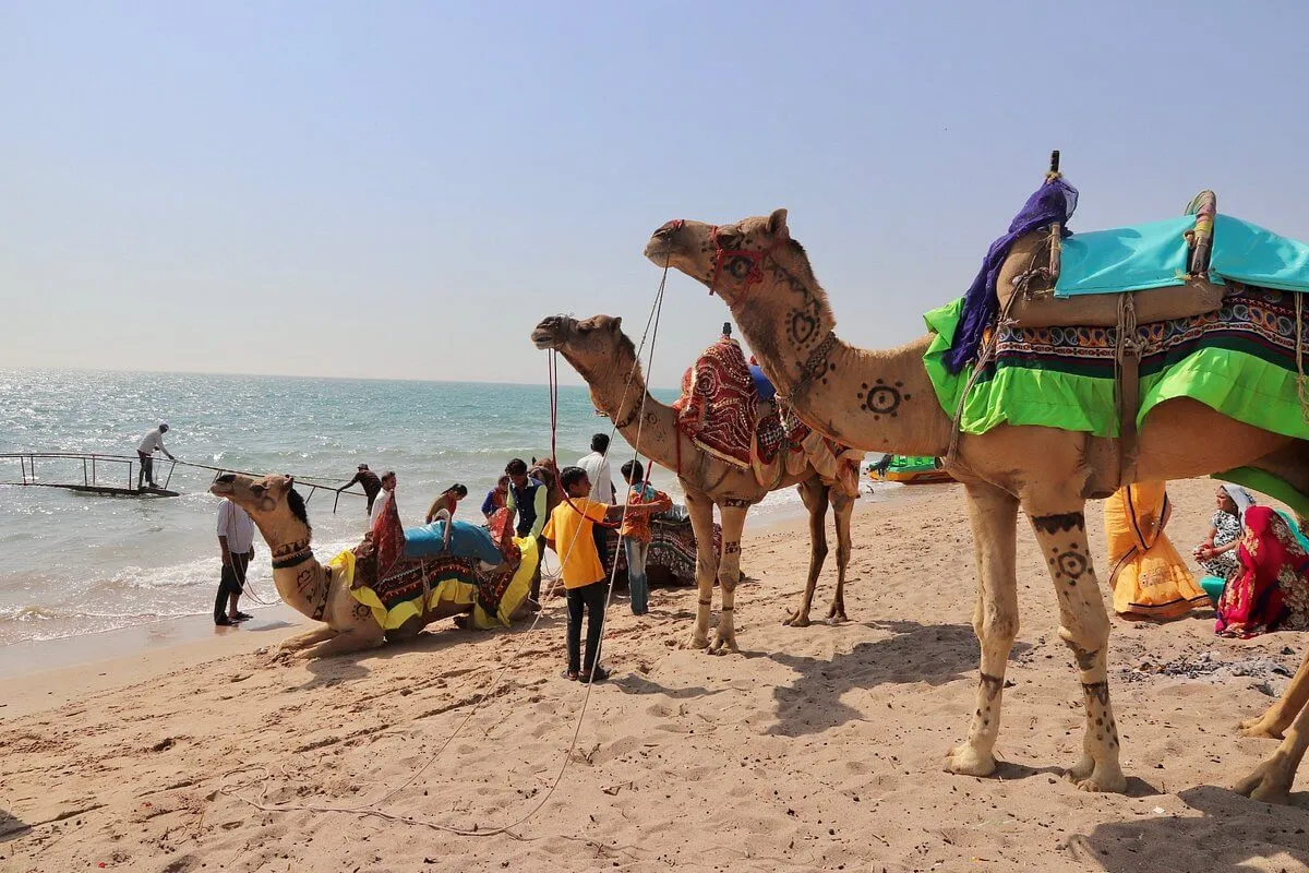 3 Nights 4 Days Bhuj Mandvi Kutch Trip Package photo 4