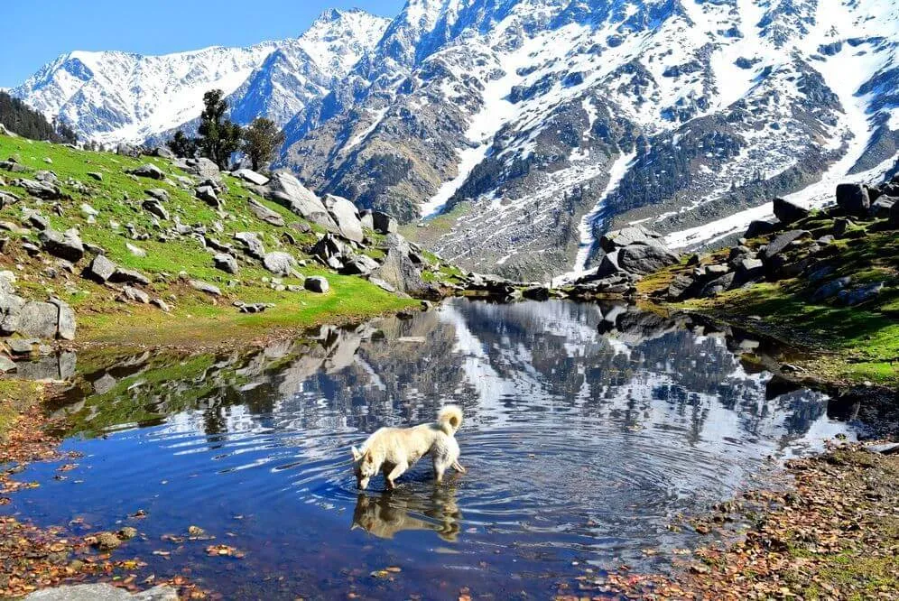 3 Days Mcleodganj Tour Package from Delhi photo 5