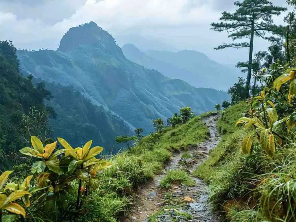 6 Days Best of Mizoram Tour