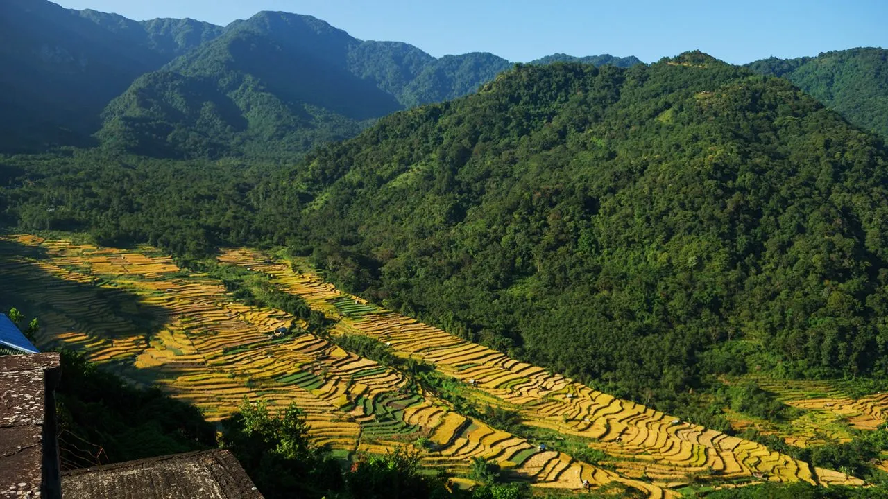 Hornbill Festival living traditions and contemporary Nagaland