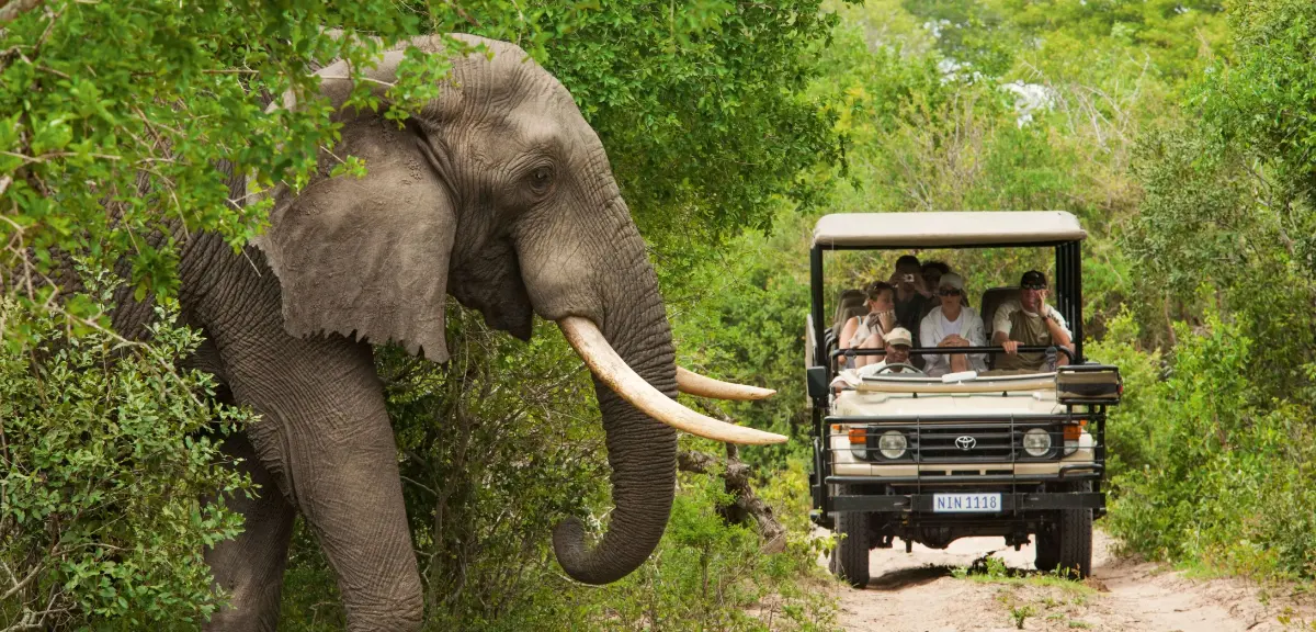 15 Days South India Wildlife Tour photo 4